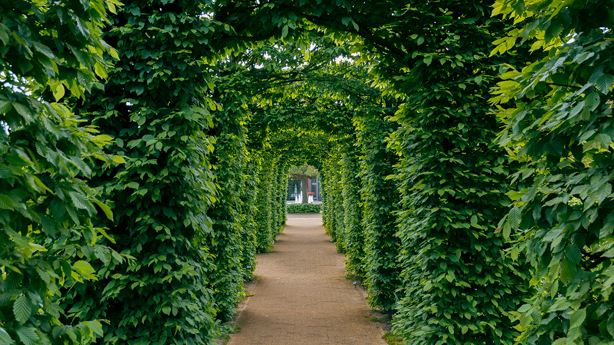 Explore Perl Haven’s Sustainable Credit & Platforms white paper on sustainable credit and private markets strategies.